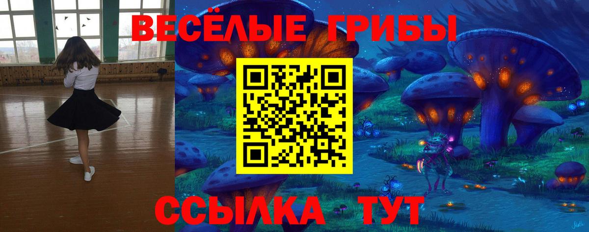 Галлюциногенные грибы Psilocybe  Вход с VPN  Скопин  Галлюциногенные грибы MAGIC MUSHROOMS 
